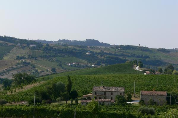 Cascinale La Mimosa Bed & Breakfast Cupramontana Eksteriør bilde