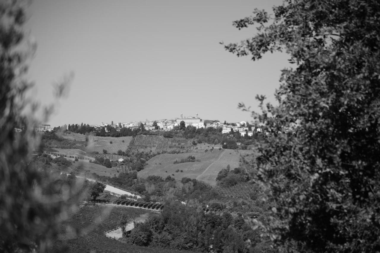 Cascinale La Mimosa Bed & Breakfast Cupramontana Eksteriør bilde